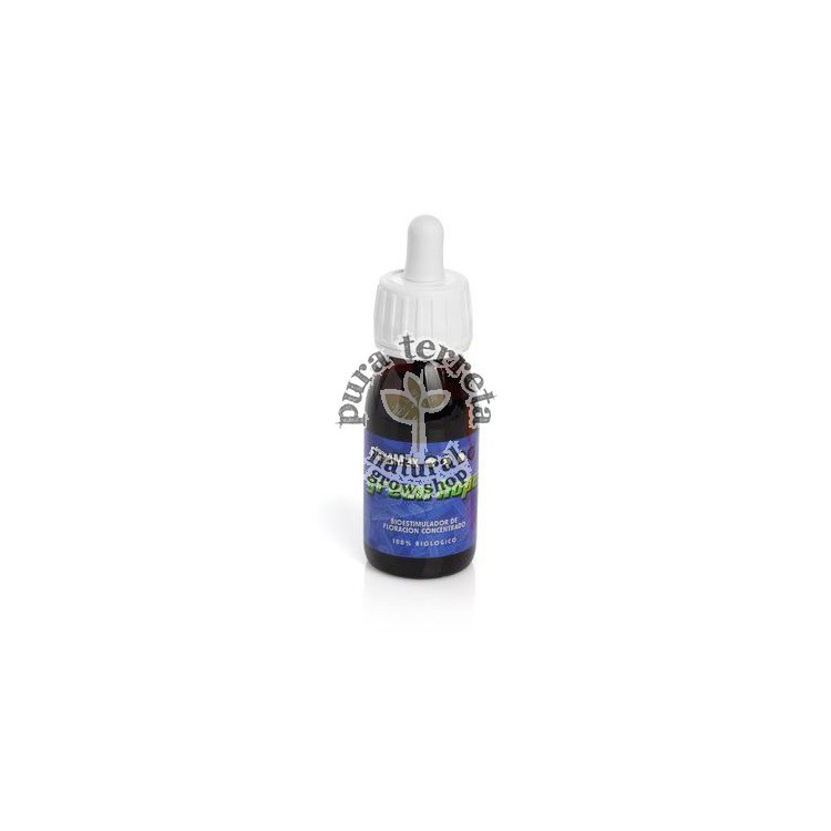 FloraMax Green Hope