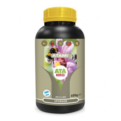 Atami UPGRADE NRG SOLIDO