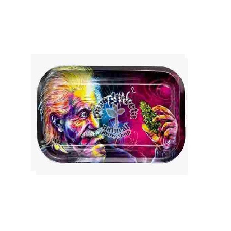 Bandeja Einstein