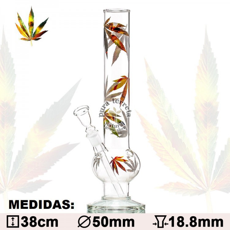 Bong Hojas Otoño