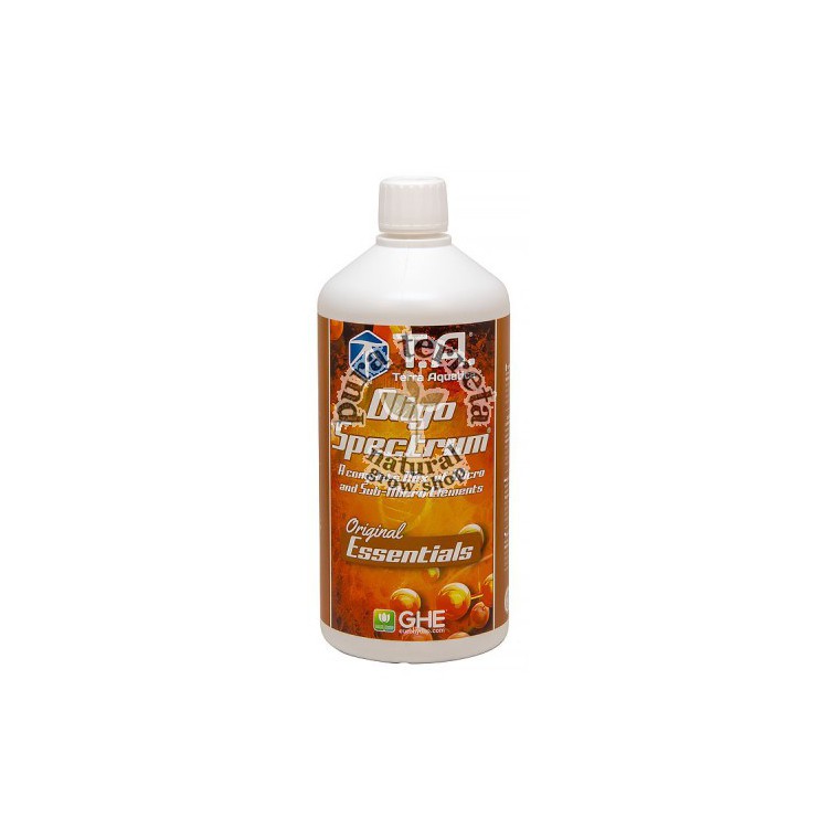 OLIGO SPECTRUM (ESSENTIALS) T.A.