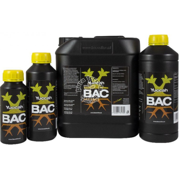 BAC Yuccah