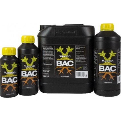 BAC Yuccah