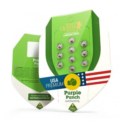 Purple Punch Automatic RQS