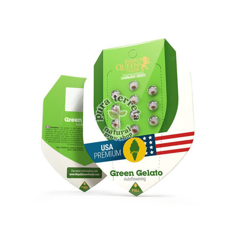 Green Gelato Automatic RQS