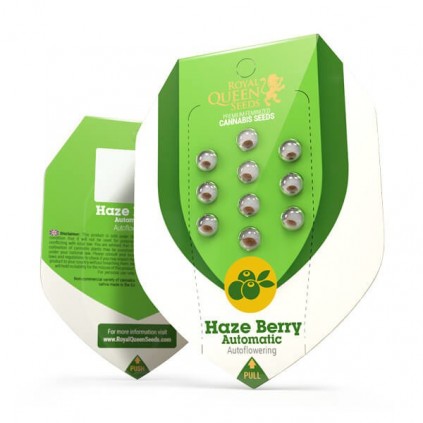Haze Berry Automatic RQS