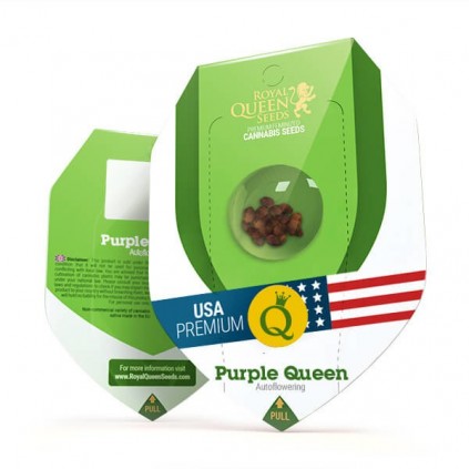 Purple Queen Automatic RQS