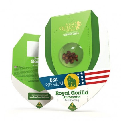 Royal Gorilla Automatic RQS