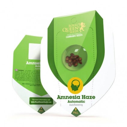 Amnesia Haze Automatic RQS