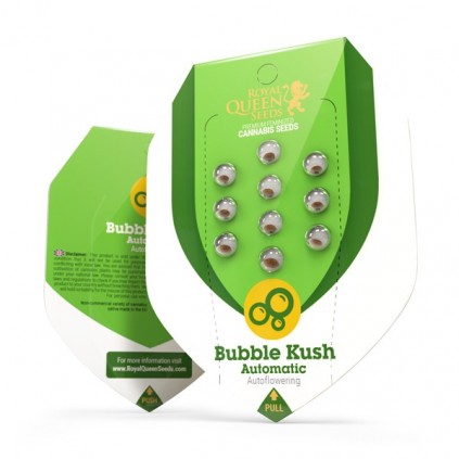 Bubble Kush Automatic RQS