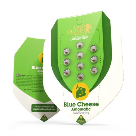 Blue Cheese Automatic RQS