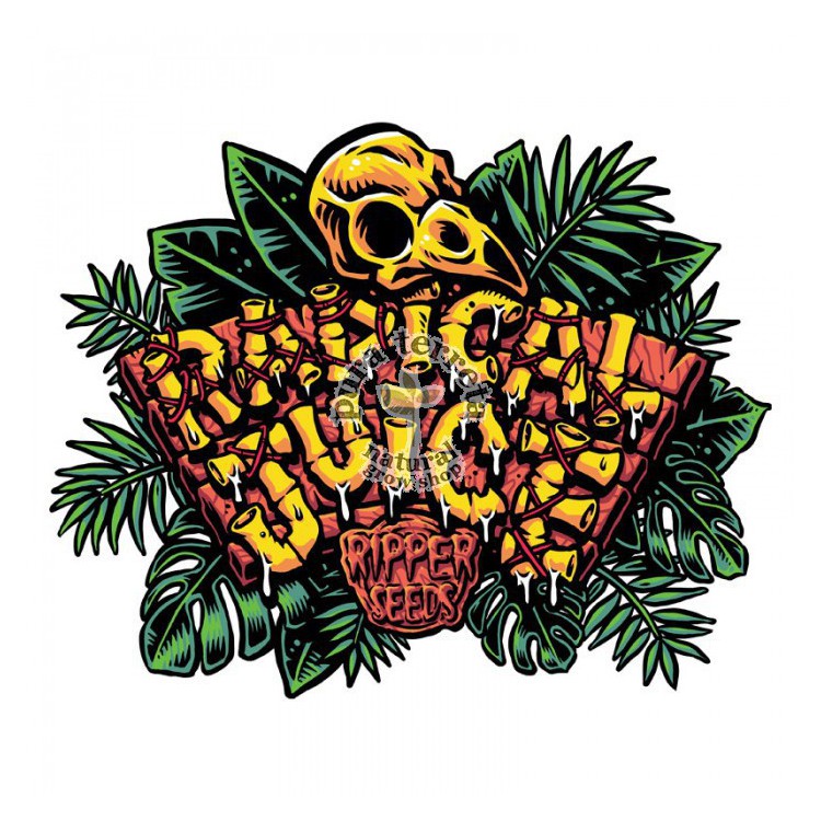 Radical Juice Ripper Seeds