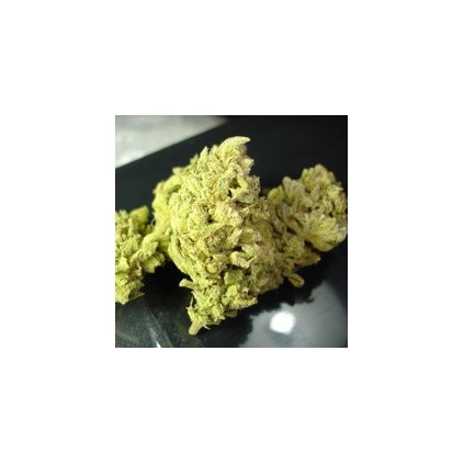 No Name Medical Seeds