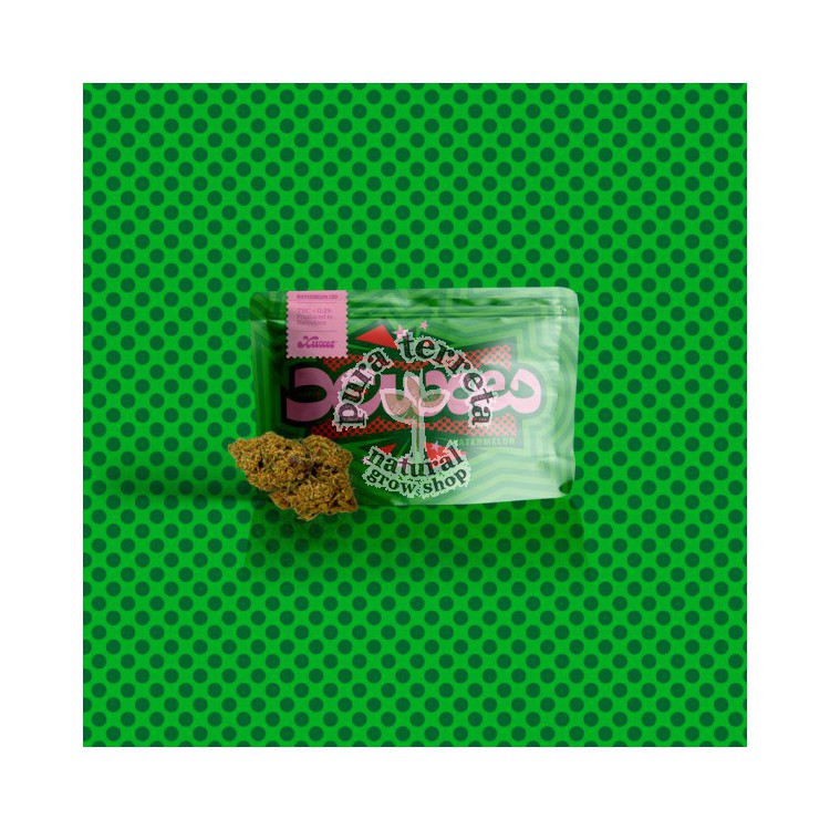 Flores CBD Watermelon Xuxes