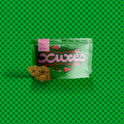 Flores CBD Watermelon Xuxes