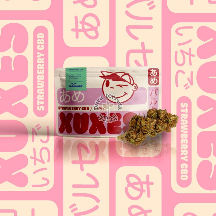 Flores CBD Strawberry Xuxes