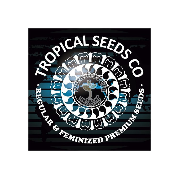 Greenade The Tropical Seeds