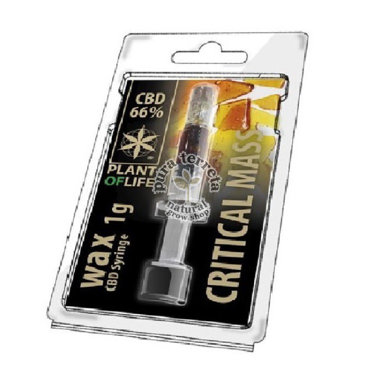 Wax CBD Critical 66%