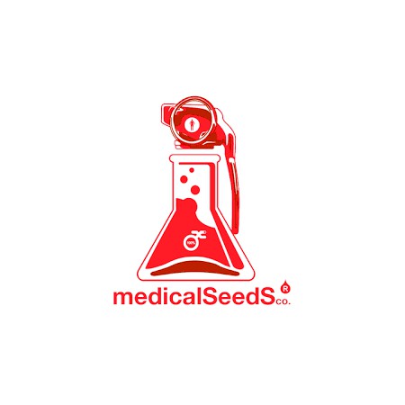 Medical Runntz Medical Seeds