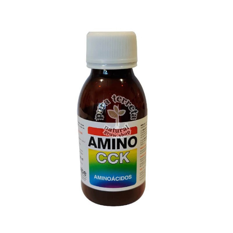 Amino CCK Trabe