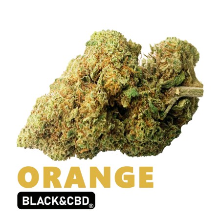 Flores CBD Orange Black & CBD