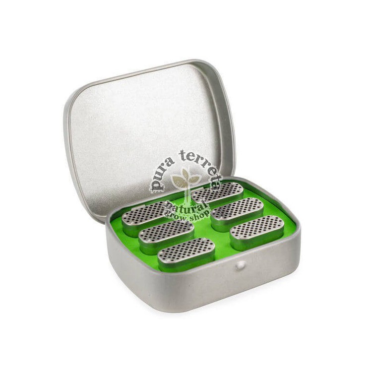 Bud Case Bundle Pax