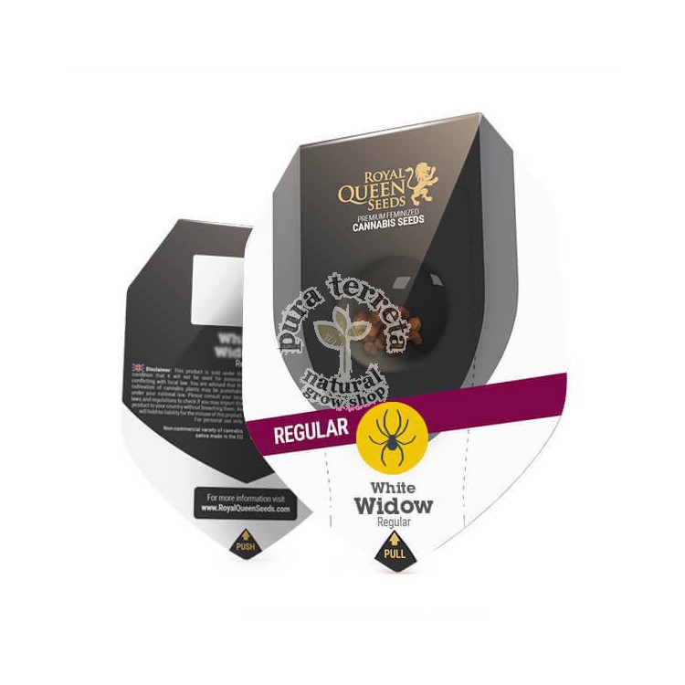 White Widow (reg) RQS