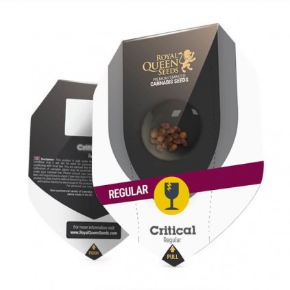 Critical (reg) RQS