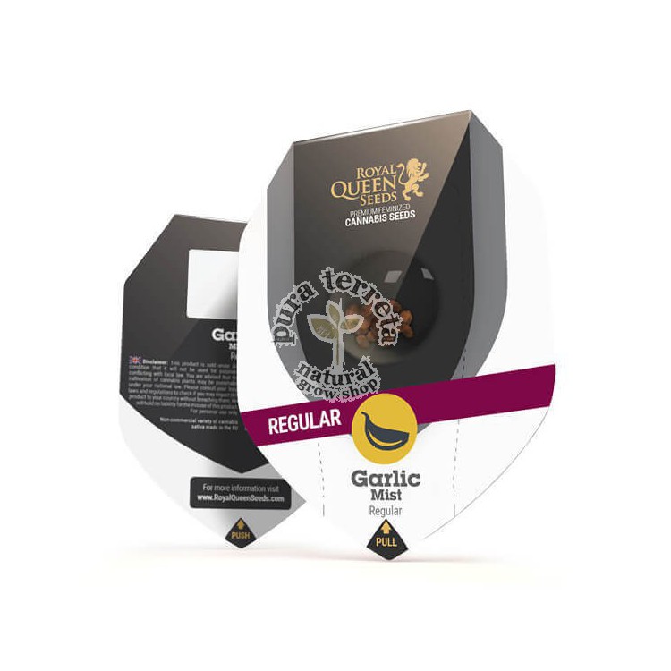 Garlic Mist (reg) RQS