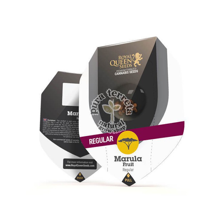 Marula Fruit (reg) RQS
