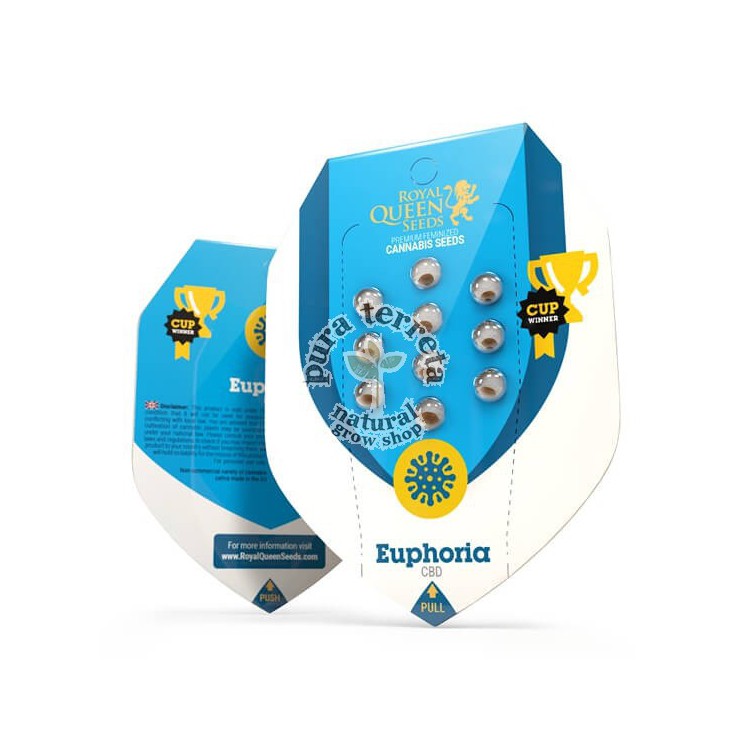 Euphoria CBD RQS