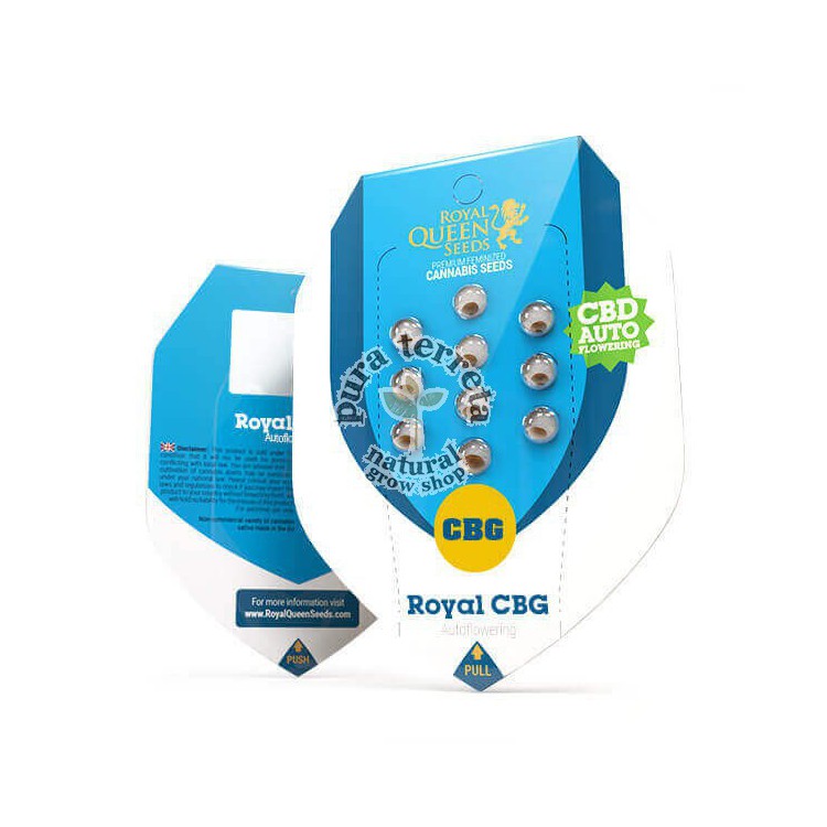 Royal CBG Auto RQS