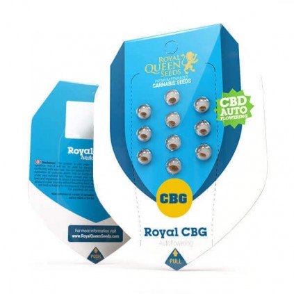 Royal CBG Auto RQS