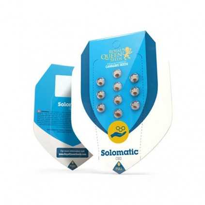 Solomatic CBD Auto RQS