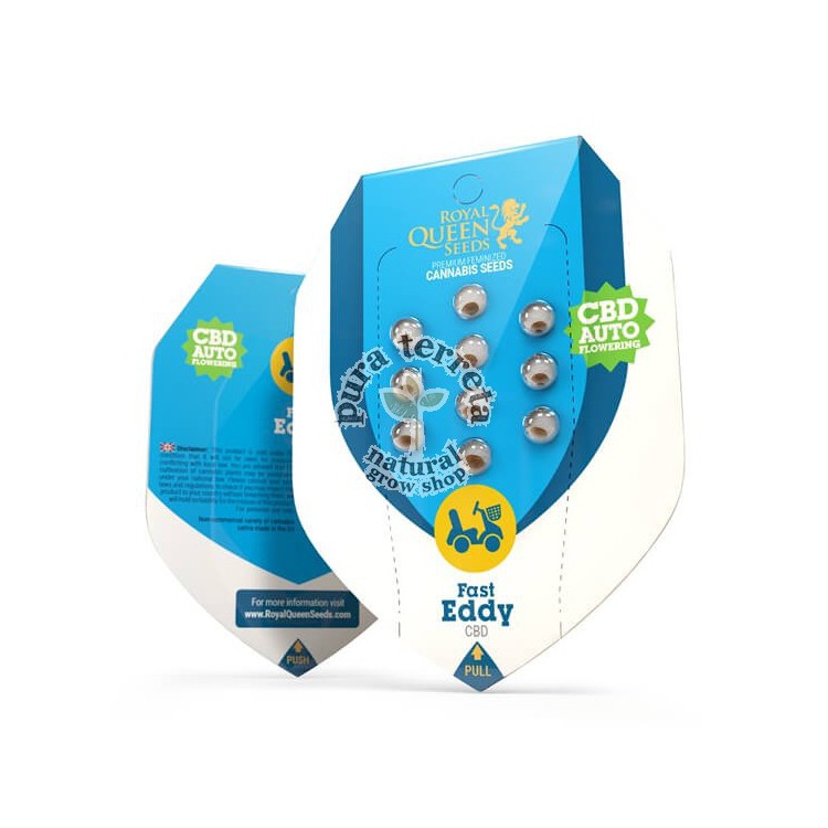 Fast Eddy CBD Auto RQS