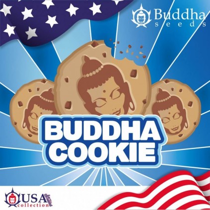 Buddha Cookie Buddha Seeds