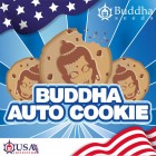 Buddha Auto Cookie Buddha Seeds