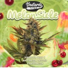 Melonsicle T.H. Seeds