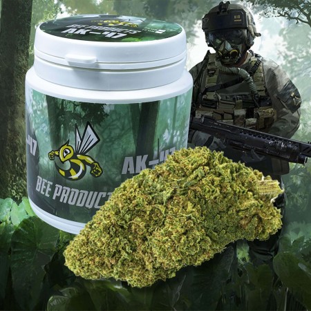 Flores CBD Ak-47 Bee Products