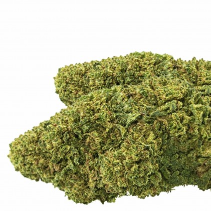 Flores CBD Ak-47 Bee Products