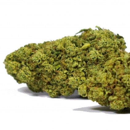 Flores CBD Bubble Gum Bee Products