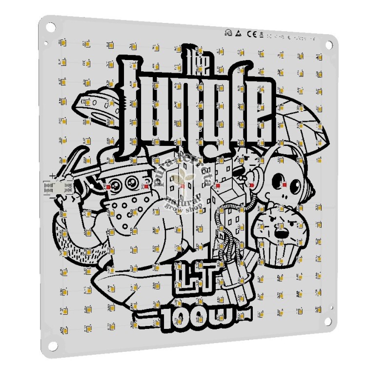 Sistema Led Jackson Lite The Jungle