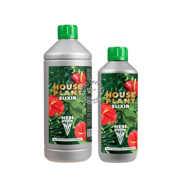House Plant Hesi