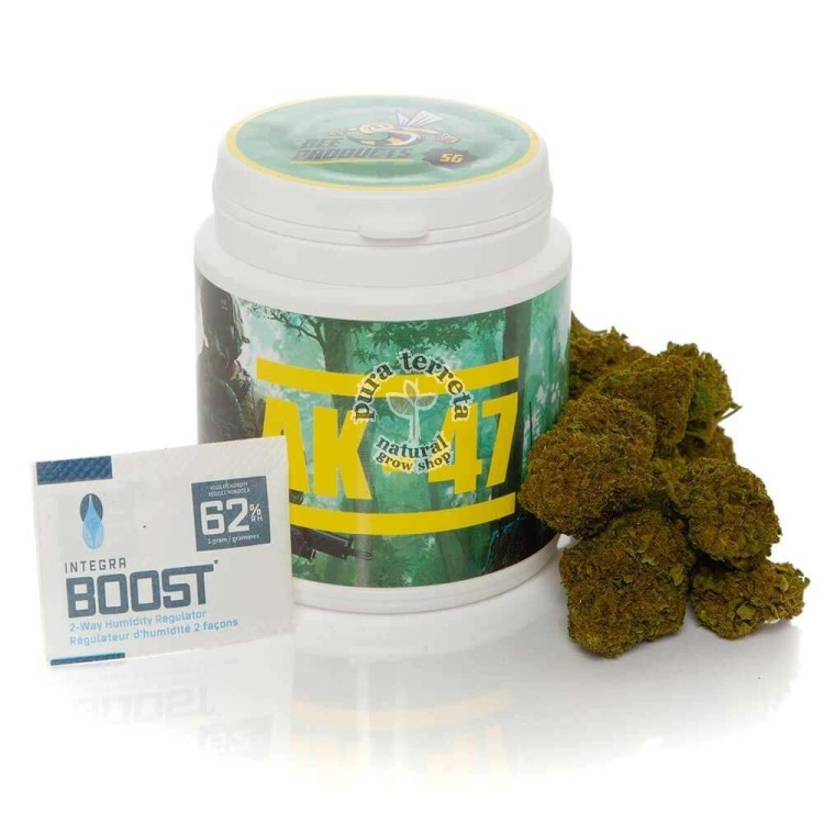 Flores CBD Ak-47 Bee Products