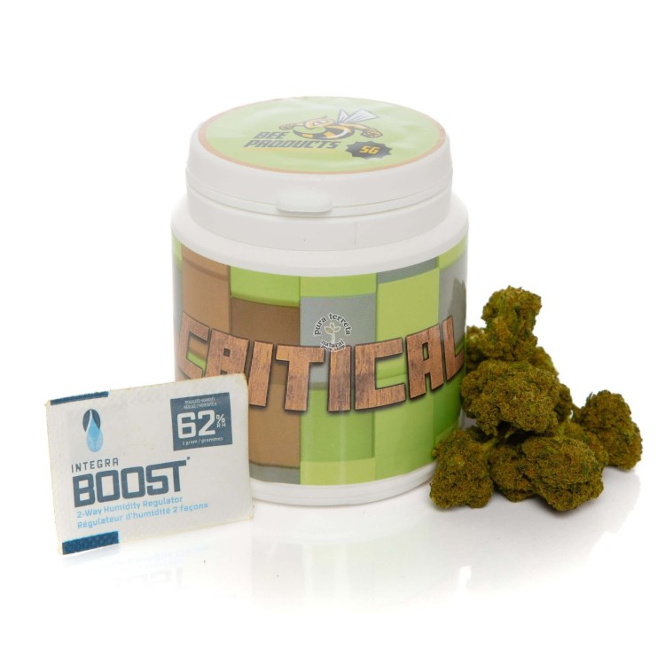 Flores CBD Critical Bee Products