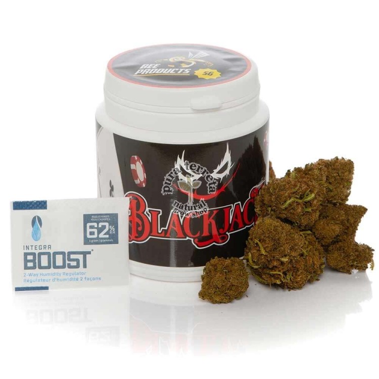 Flores CBD Black Jack Bee Products