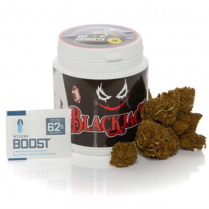 Flores CBD Black Jack Bee Products