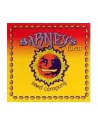 Semillas Auto Barney´s
