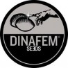 DINAFEM