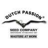 DUTCH PASSION